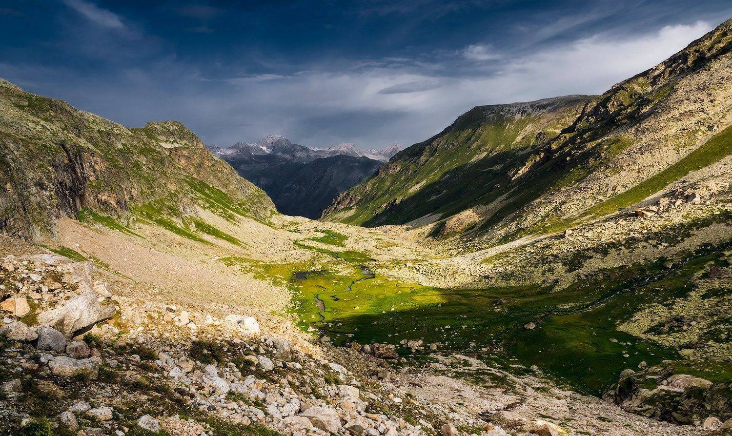 ***. Автор: Олег Скан , Олег Скан