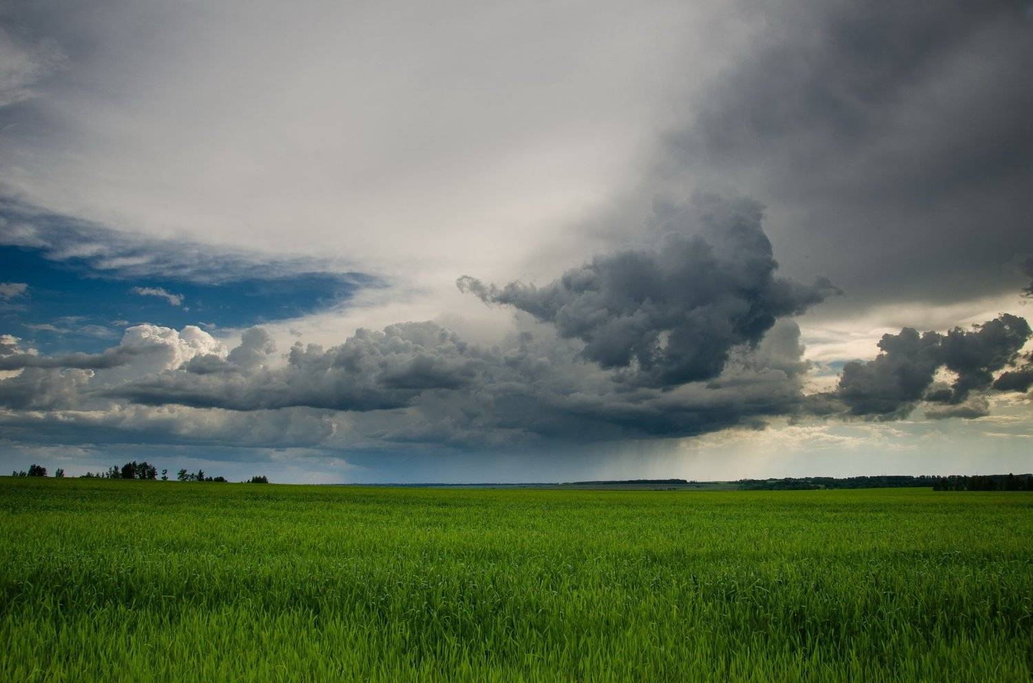 Автор: Чурляев Максим , Чурляев Максим