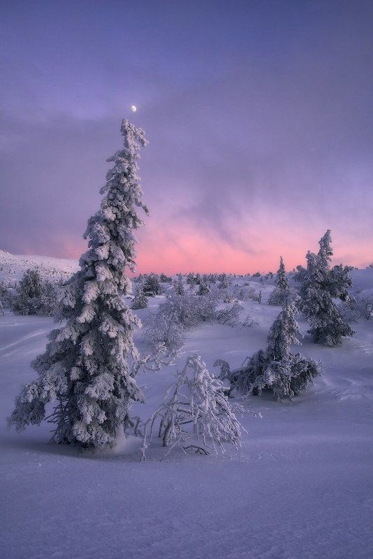 кольский полуостров, мурманская,кандалакша Лунный лапландский вечерphoto preview