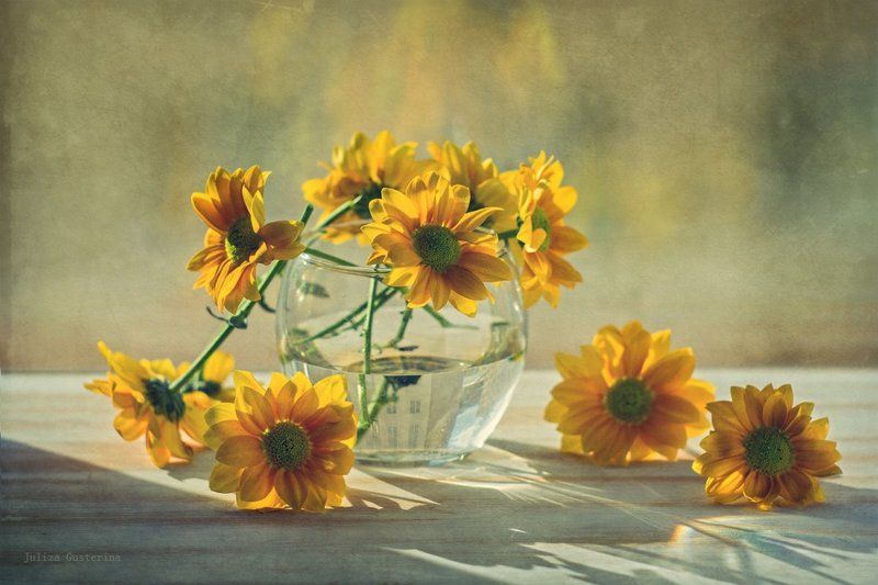 встречая веснуphoto preview