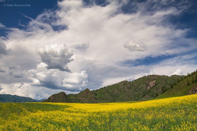 Горный Алтай, Семинский перевал, цветение, облака, горы, скалы, лето Всё ещё впереди...photo preview