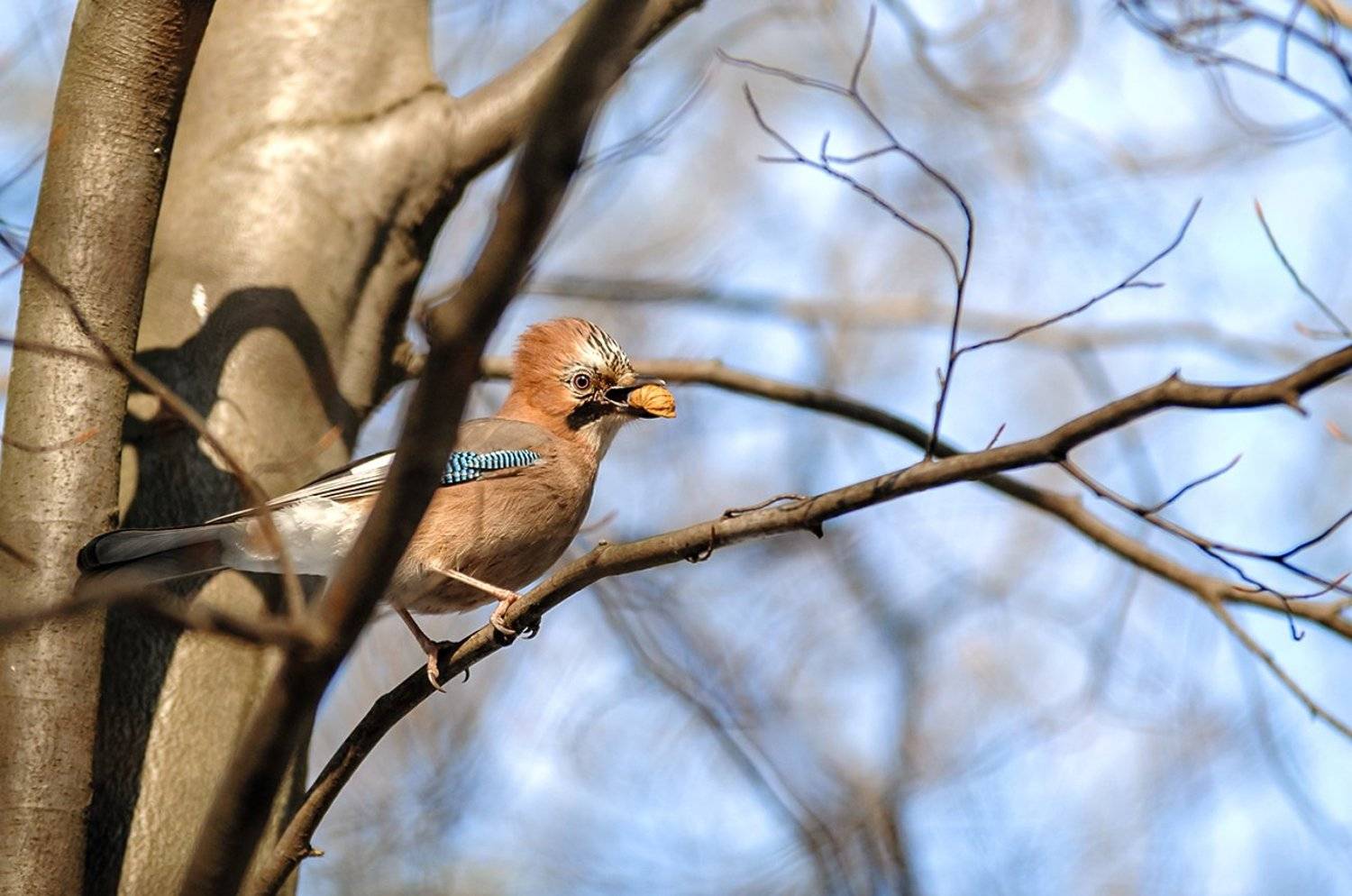 , Валерий Смирнов