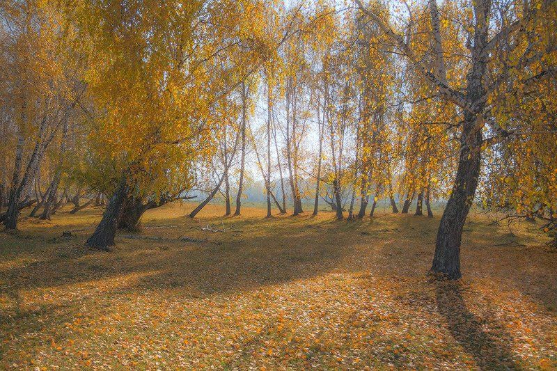 Осень 2016 (2)photo preview