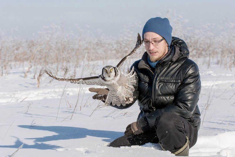 сова, птица Апофеозphoto preview