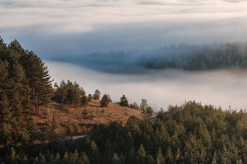 sunset, landscape, mountain, fog, forest, nature, mist Sunsetphoto preview