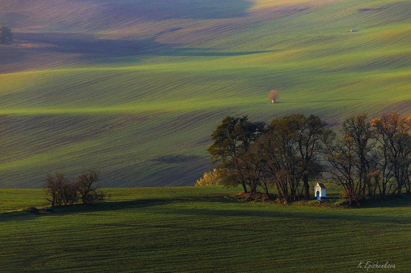 Epishenkova Kseniiaphoto preview