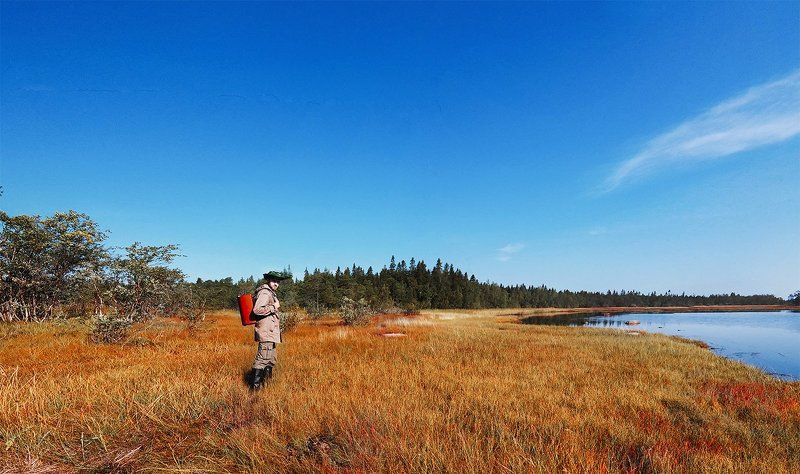 #nature #sky #sun #summer #beach #beautiful #pretty #sunset #sunrise #blue #flowers #night #tree #twilight #clouds #beauty #light #cloudporn #photooftheday #love #green #skylovers #dusk #weather #day #red #iphonesia #mothernature summer walkingphoto preview