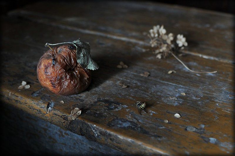 Всё тлен, и миг, и суета...photo preview