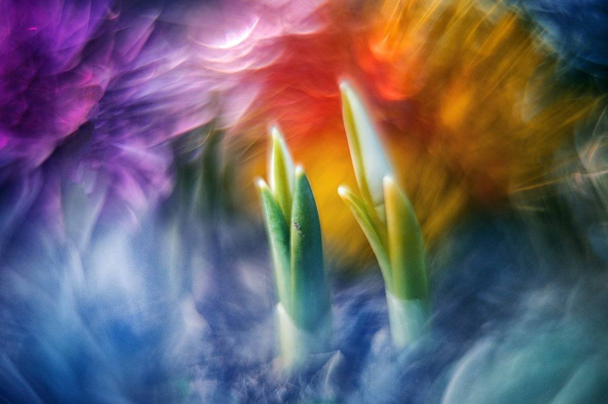 Весна...как много в этом слове!!!. Автор: Татьяна Аверина , Татьяна Аверина