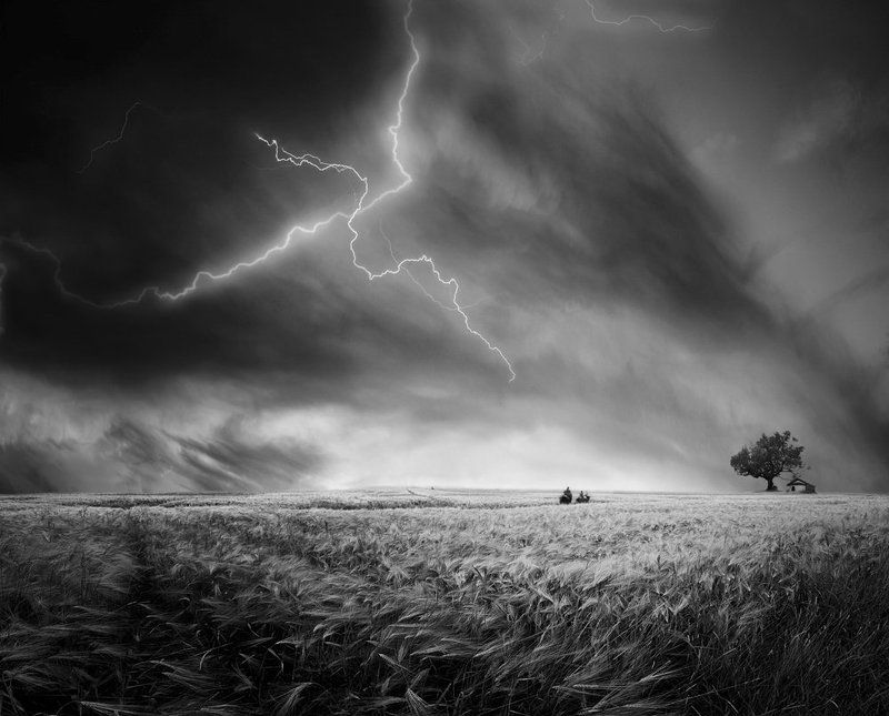 Killer on the Roadphoto preview