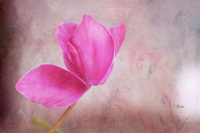 The soul feelingsphoto preview