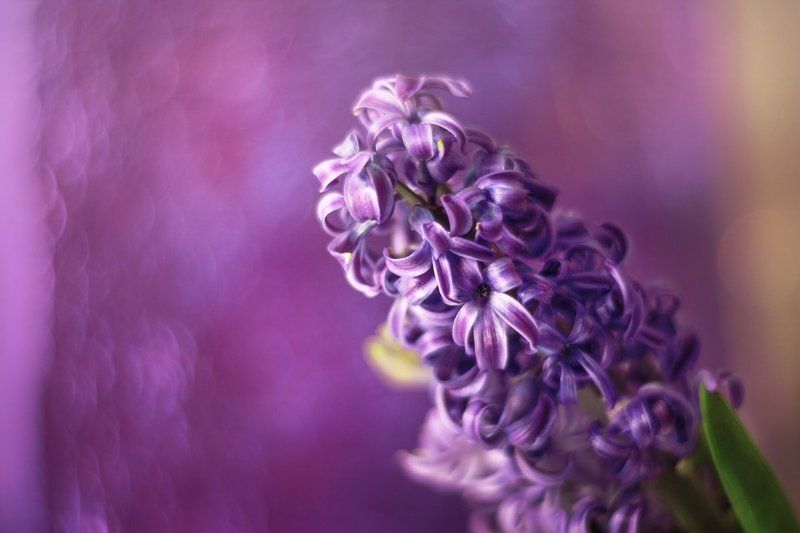 Встречая веснуphoto preview