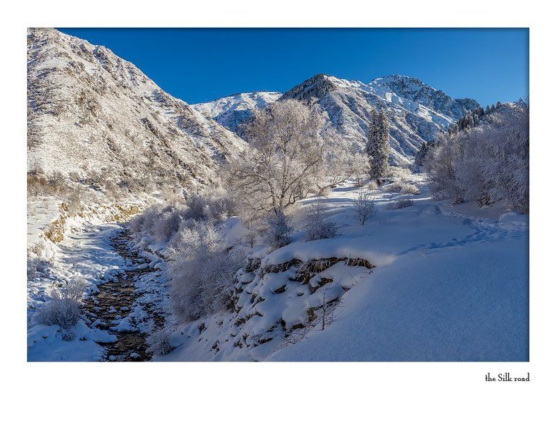 Тянь-Шань, Заилийский Алатау прогулка в Большой Алматинской щелиphoto preview