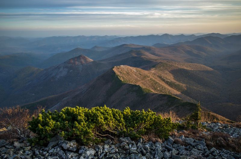 Горы, Снежная, Приморский край, Приморье Разноплановостьphoto preview