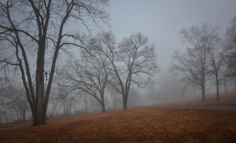 Утречком в паркеphoto preview