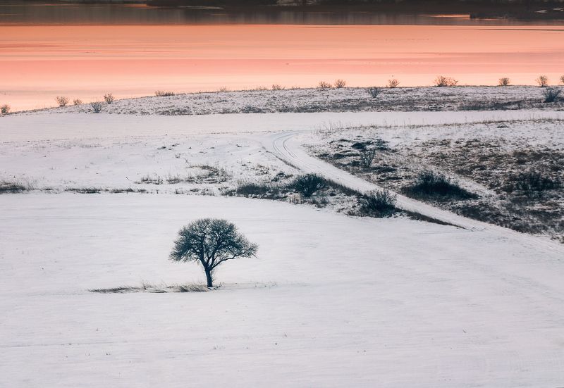 Lonelinessphoto preview