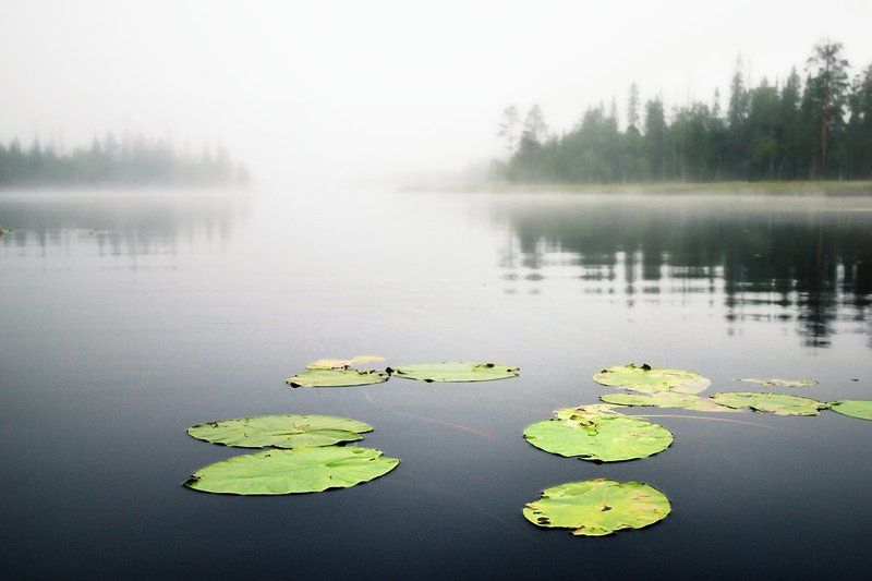 карелия, охта, озеро, пейзаж, пасмурно, камни, вода, d80 На реке Охте, ночь фото превью