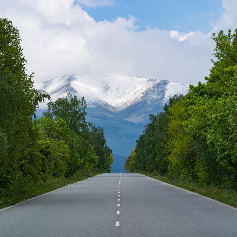 mountain, landscape, travel, snow, tree, forest, way, sky, clouds On the roadphoto preview