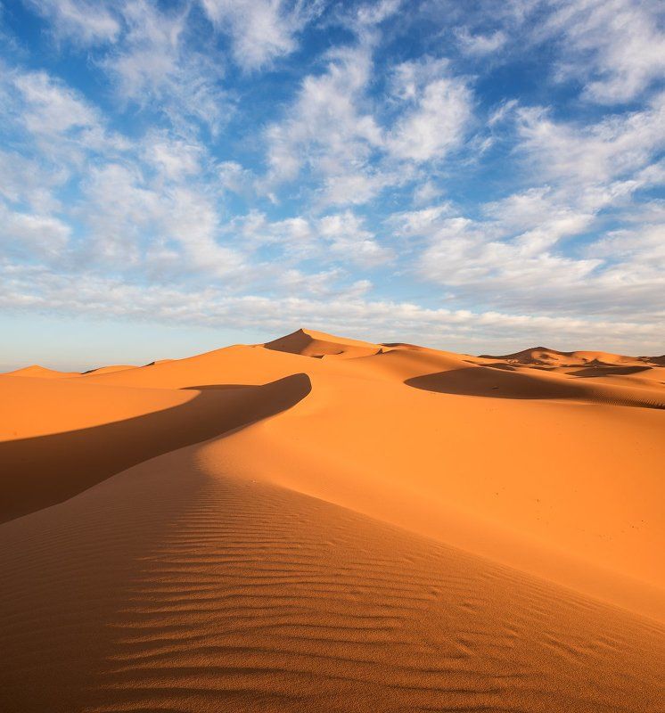 Сахараphoto preview