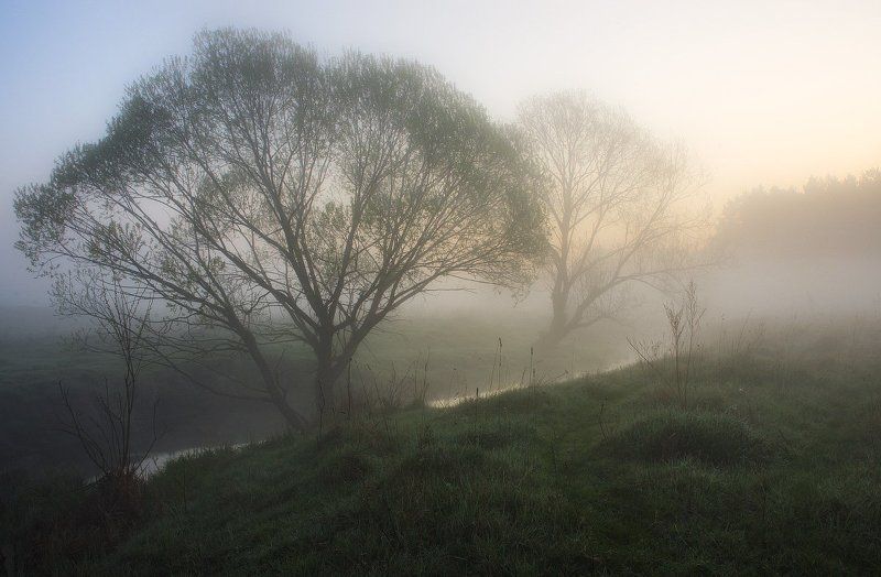 Весенние силуэты...photo preview