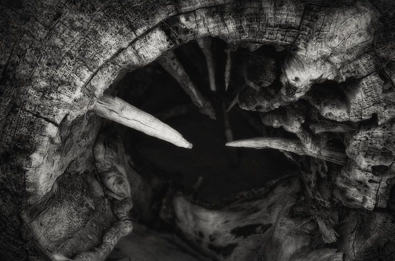 Буратино 2: Судный деньphoto preview