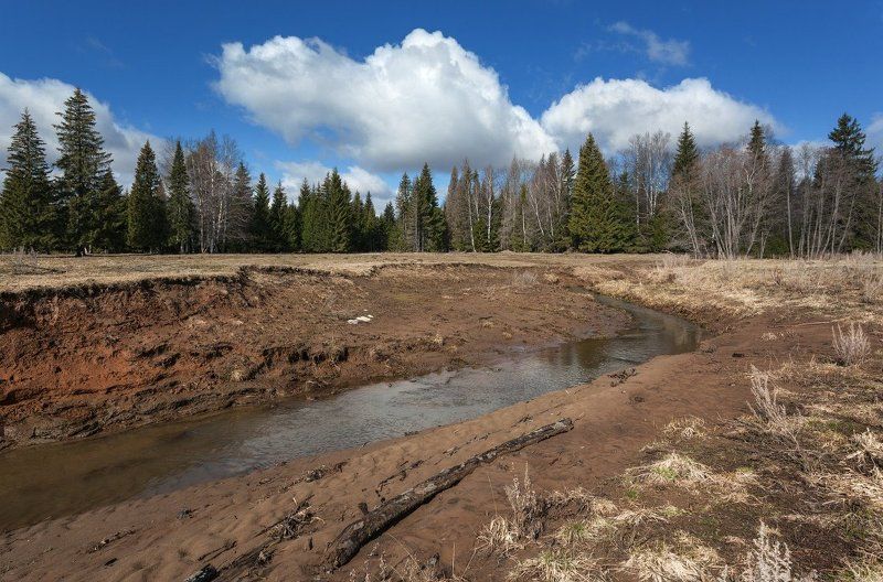 Речка весна лес облака небо Весенняя речкаphoto preview