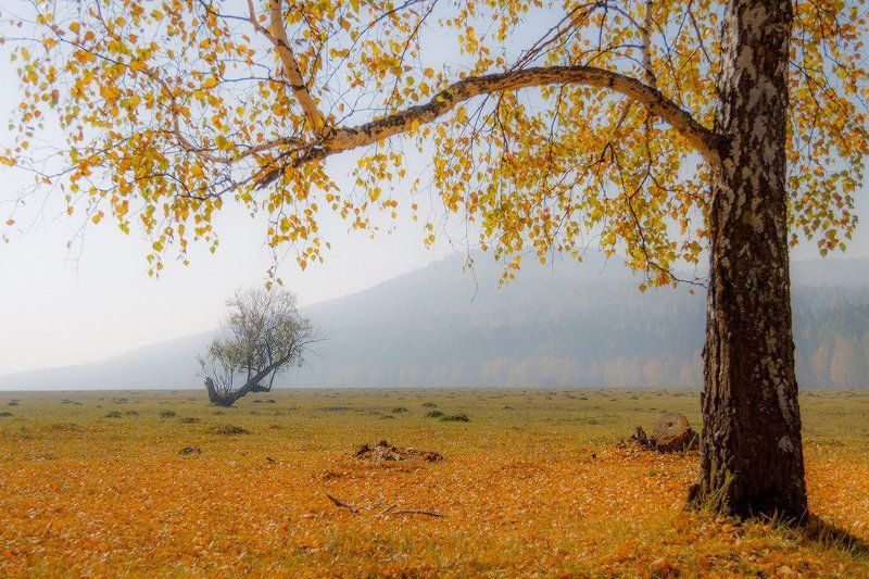 Осень 2016 (3)photo preview