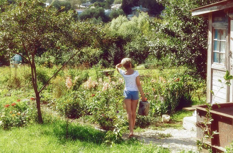 Дачноеphoto preview