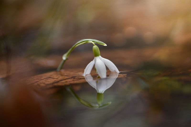 Посмотри на себя- ну на что ты похож?photo preview