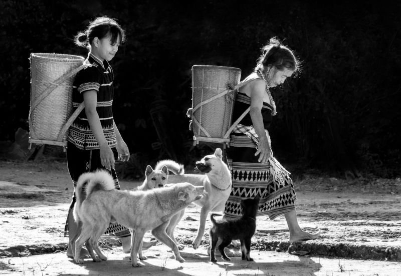 lifeUpland life Uplandphoto preview