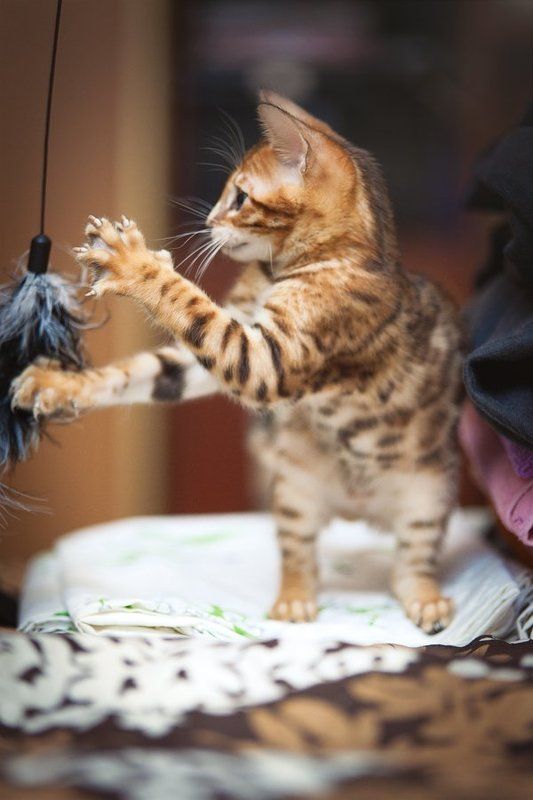 mr.filler Про маникюр :)photo preview