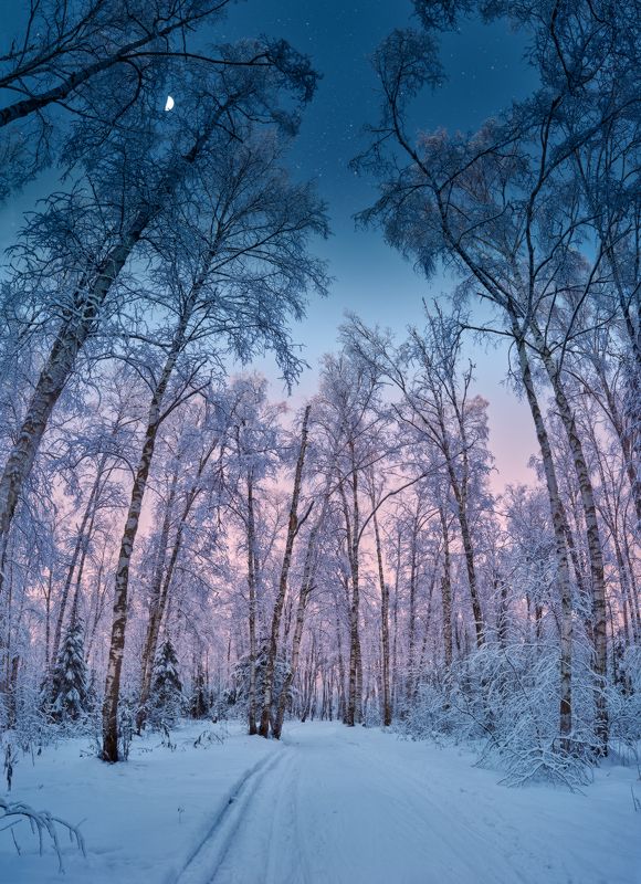 День-Вечер-Ночьphoto preview