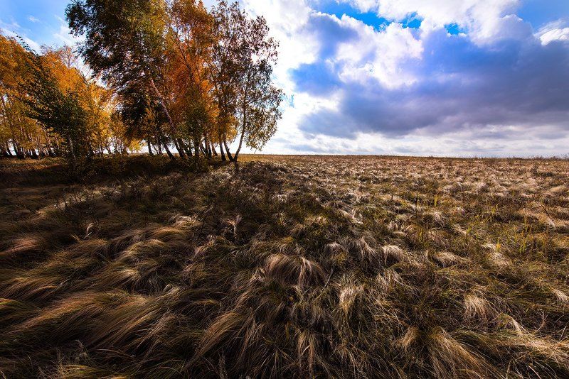 Дыхание степиphoto preview