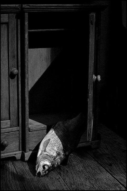 Час пик для новобрачныхphoto preview