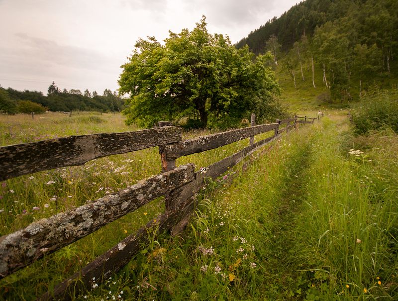 Россия, Байкал, деревня, природа Деревенскаяphoto preview