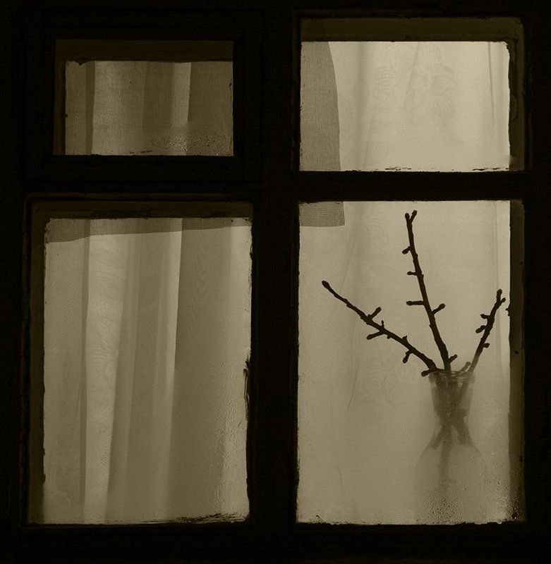 Окноphoto preview