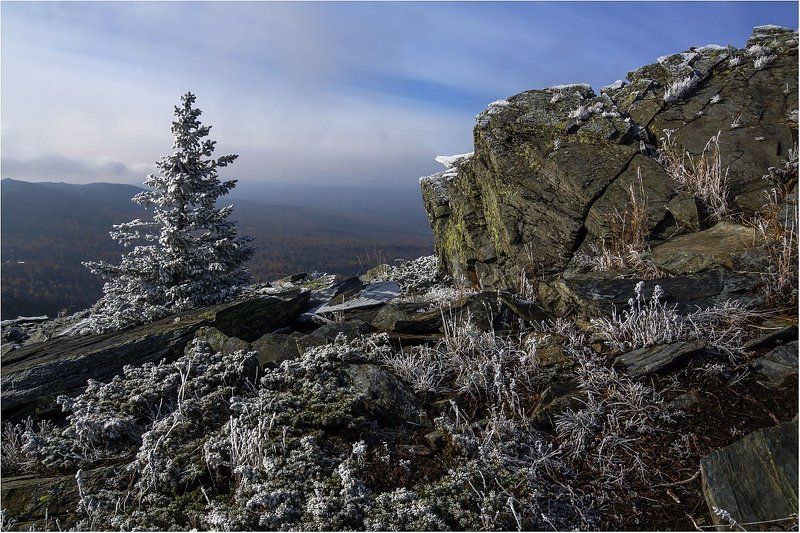 хребет,камни,ель Начало зимы на Уреньге....photo preview