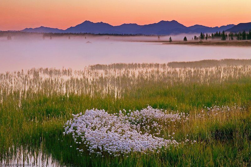 магаданская область, озеро момонтай Утро на озере Момонтай.photo preview