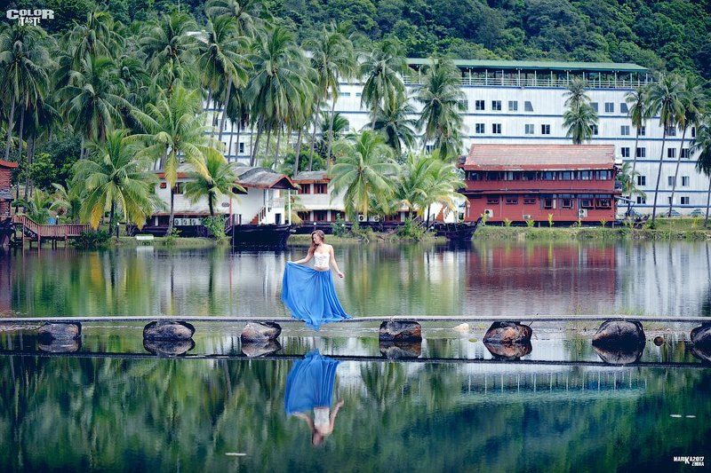 COLOR TASTEphoto preview