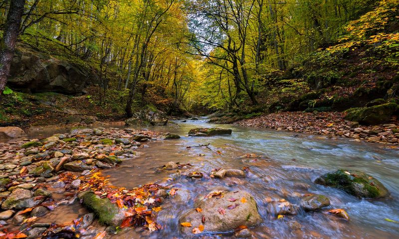 О течении...photo preview