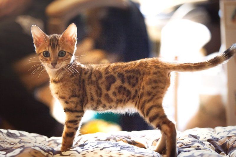 mr.filler Про позирование :)photo preview