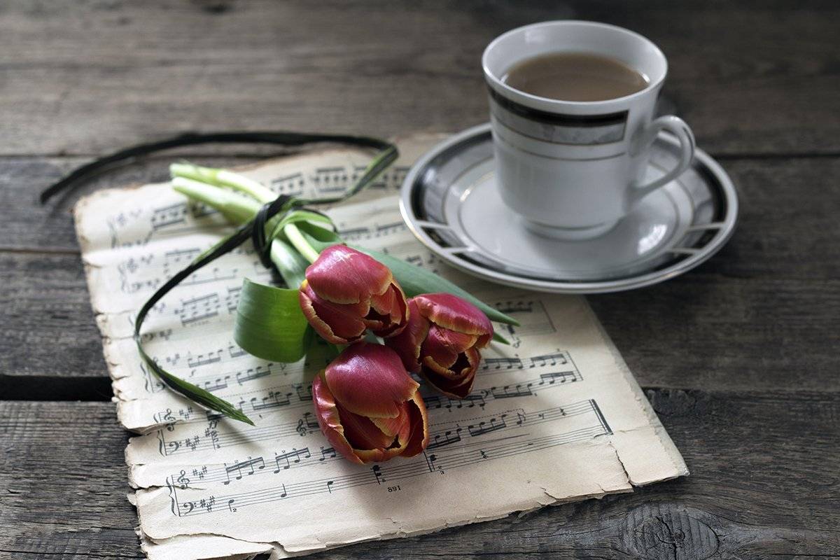 С праздником Весны, дорогие Дамы!!!. Автор: Наталья Бочкарева , Наталья Бочкарева