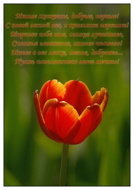 К празднику! фото превью