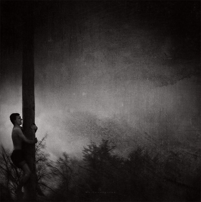 Не от терния бо чешут смоквыphoto preview