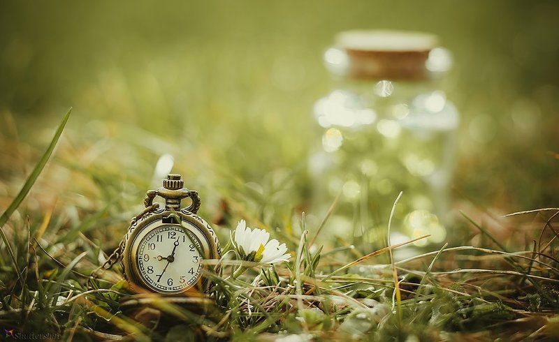 clock, watch, time, jar, grass, spring, green, old, vintage, Spring Timephoto preview