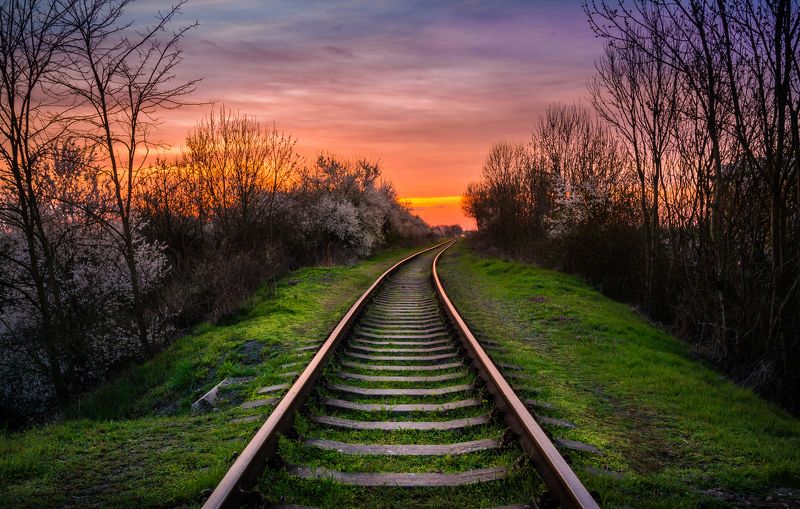 rail, train, sunset, spring, grass, sky, clouds, railway, railroad, Railroad sunsetphoto preview