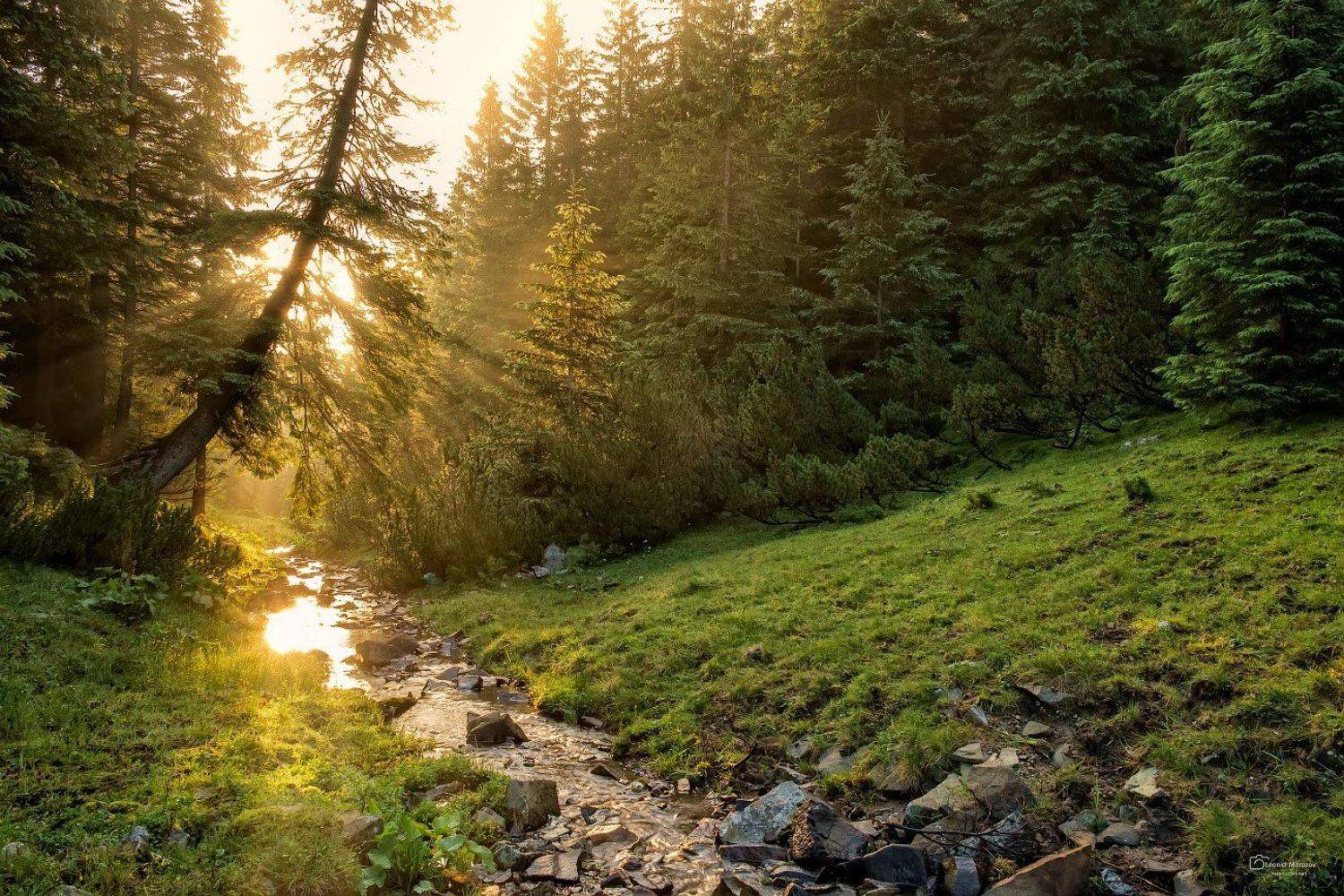 , Леонид Морозов