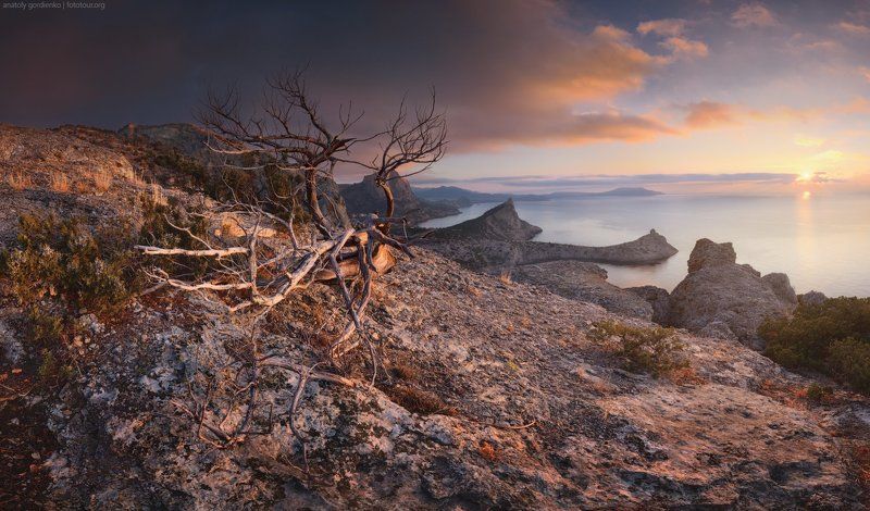 Парадизphoto preview