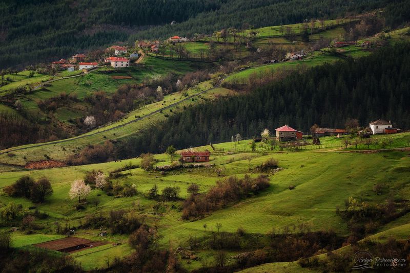 Rhodope Mountainphoto preview