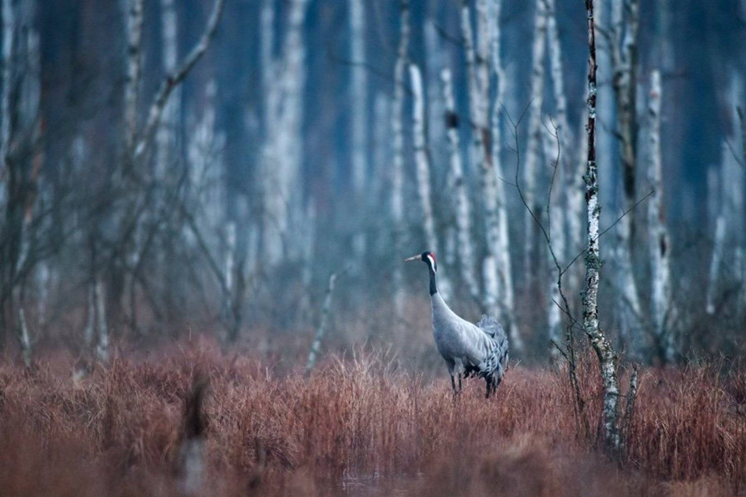 Between night and day. Автор: Lukasz Dobkowski , Lukasz Dobkowski